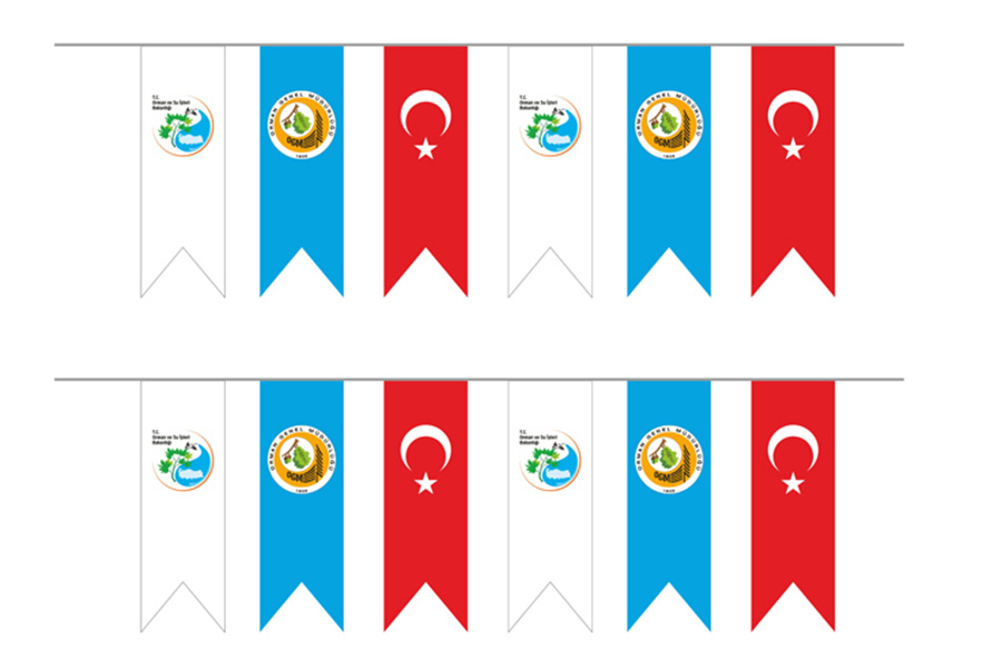 DIZ-854 İpe Dizili Bayrak
