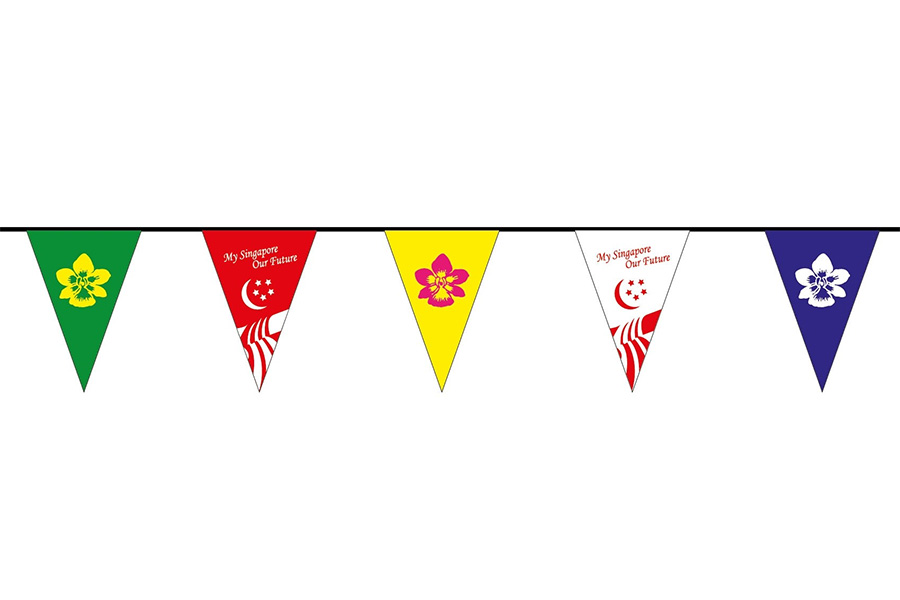 DIZ-859 İpe Dizili Bayrak