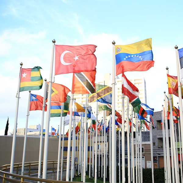Ülke Bayrakları